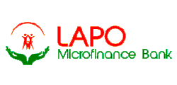 Lapo